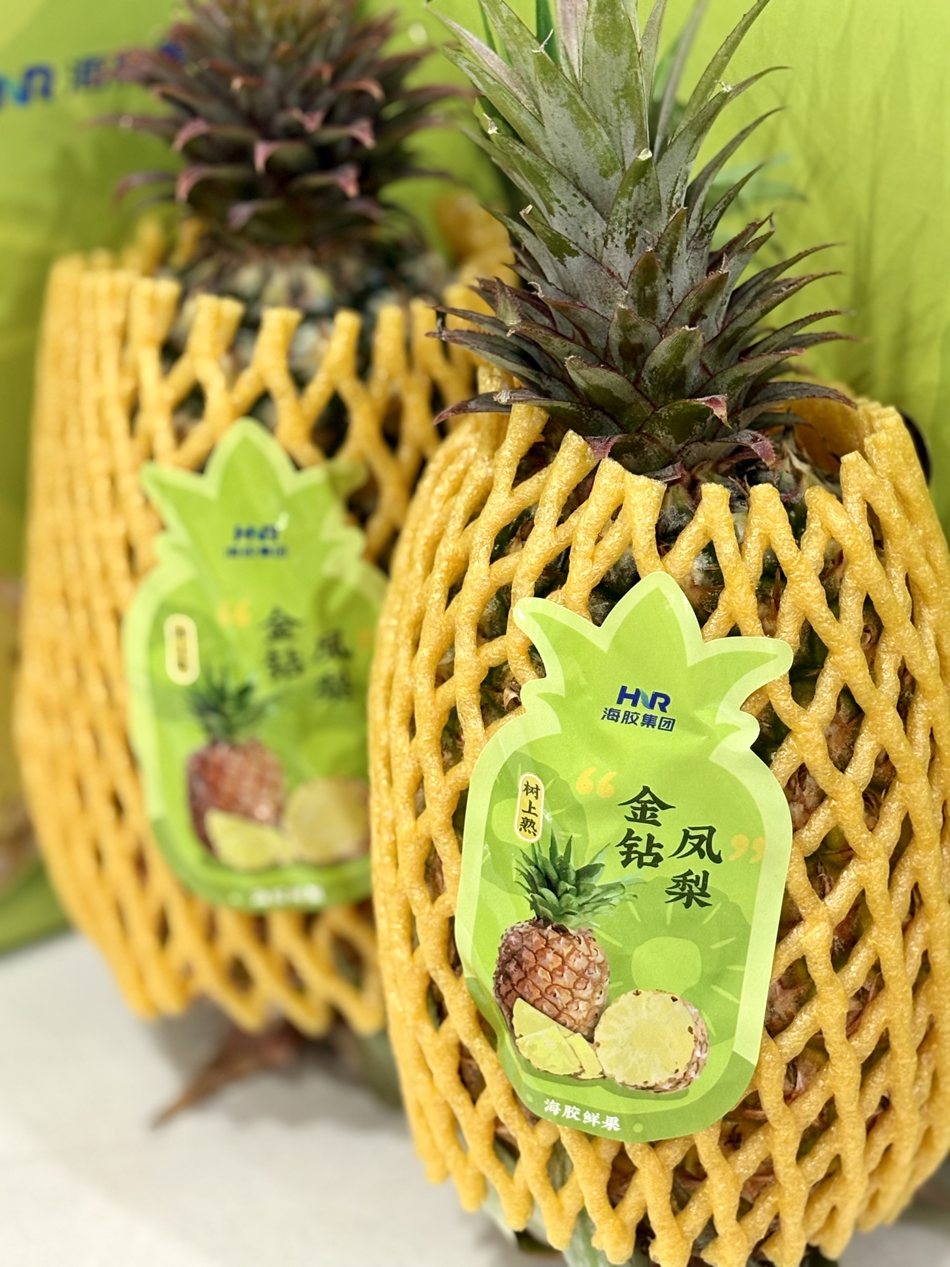 立博鲜果金钻凤梨