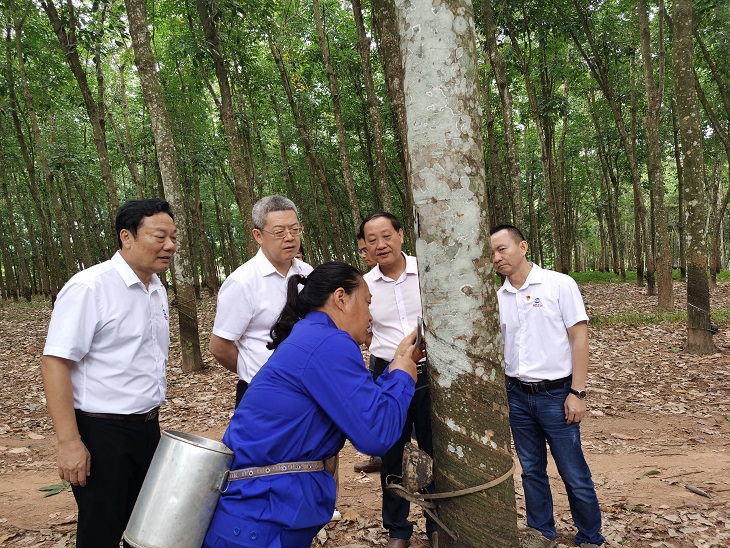 ladbrokes立博-公司官网