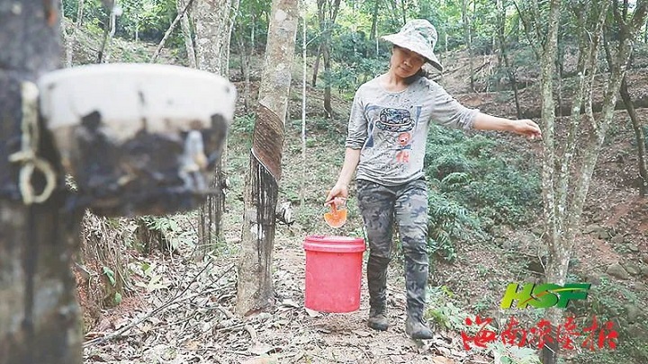 ladbrokes立博-公司官网