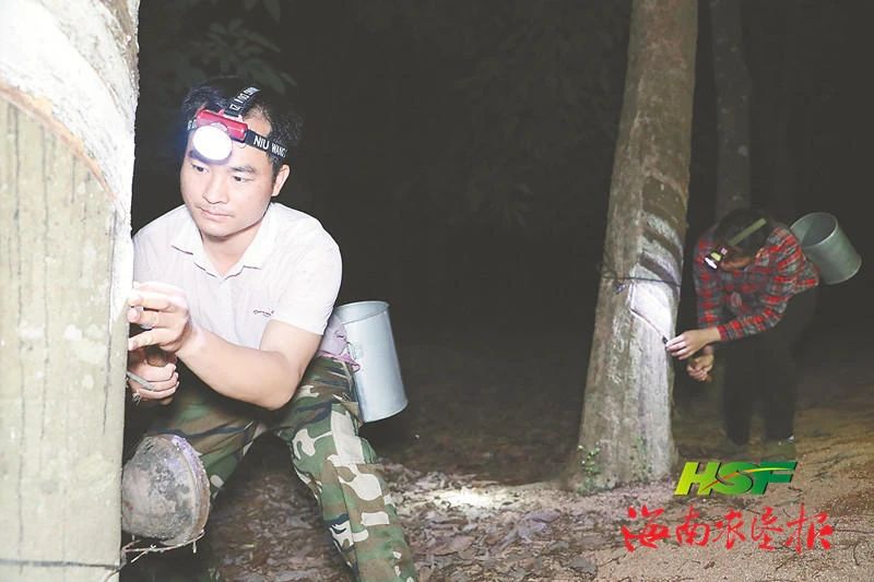 ladbrokes立博-公司官网