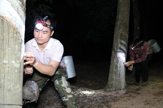 ladbrokes立博-公司官网