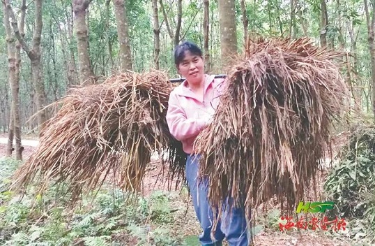 ladbrokes立博-公司官网