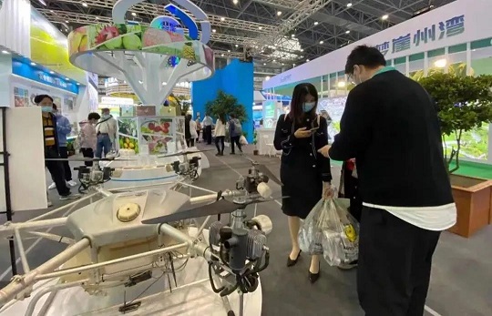 ladbrokes立博-公司官网