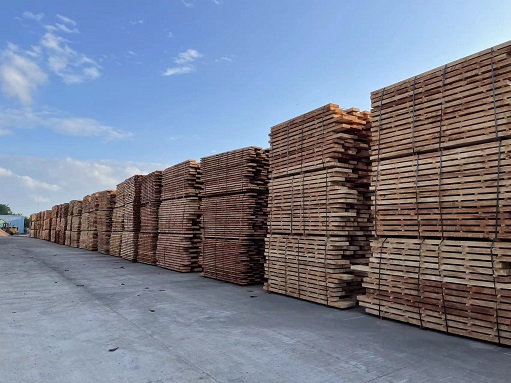 ladbrokes立博-公司官网