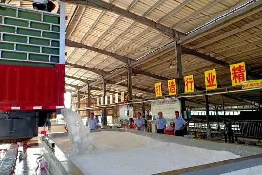 ladbrokes立博-公司官网