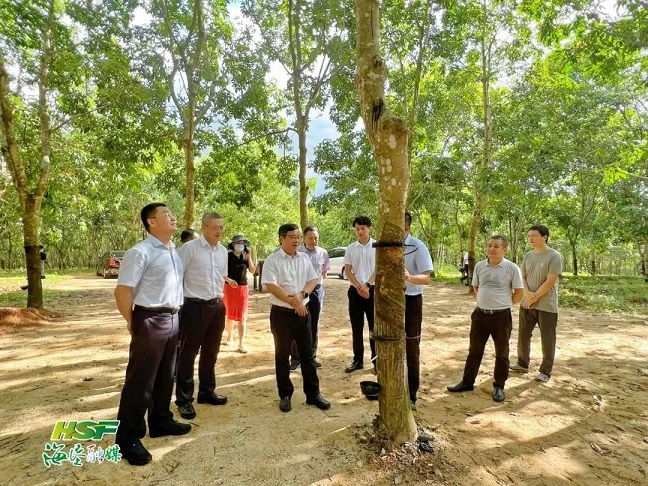 ladbrokes立博-公司官网