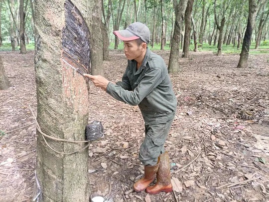 ladbrokes立博-公司官网