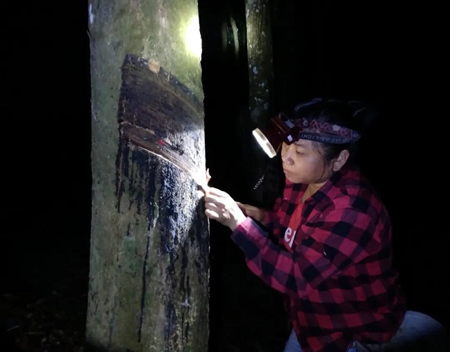 ladbrokes立博-公司官网