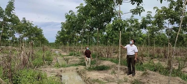 ladbrokes立博-公司官网