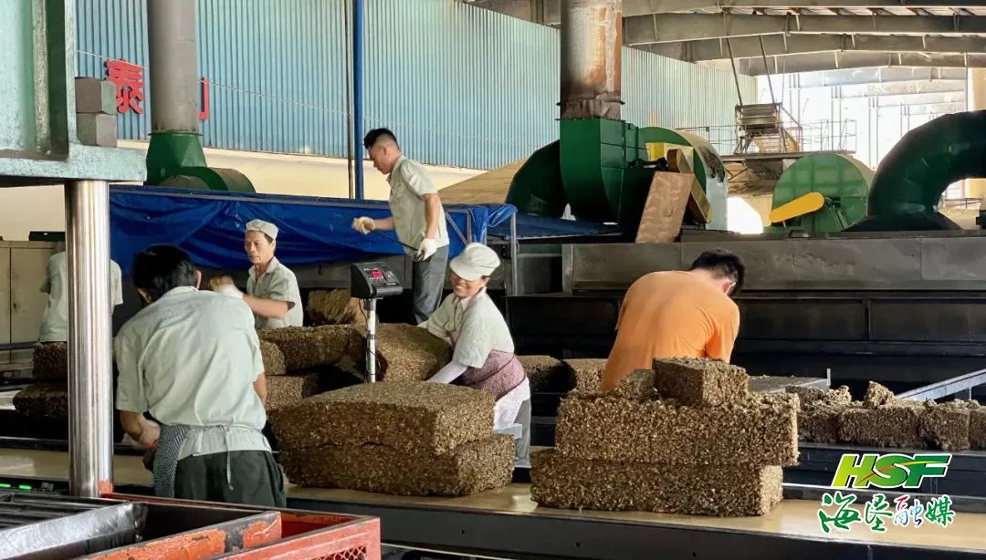 ladbrokes立博-公司官网