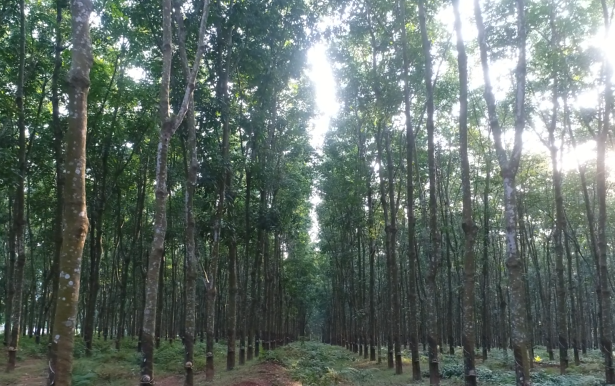 ladbrokes立博-公司官网