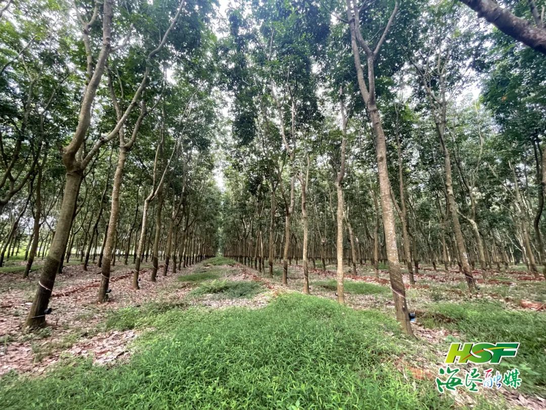 ladbrokes立博-公司官网