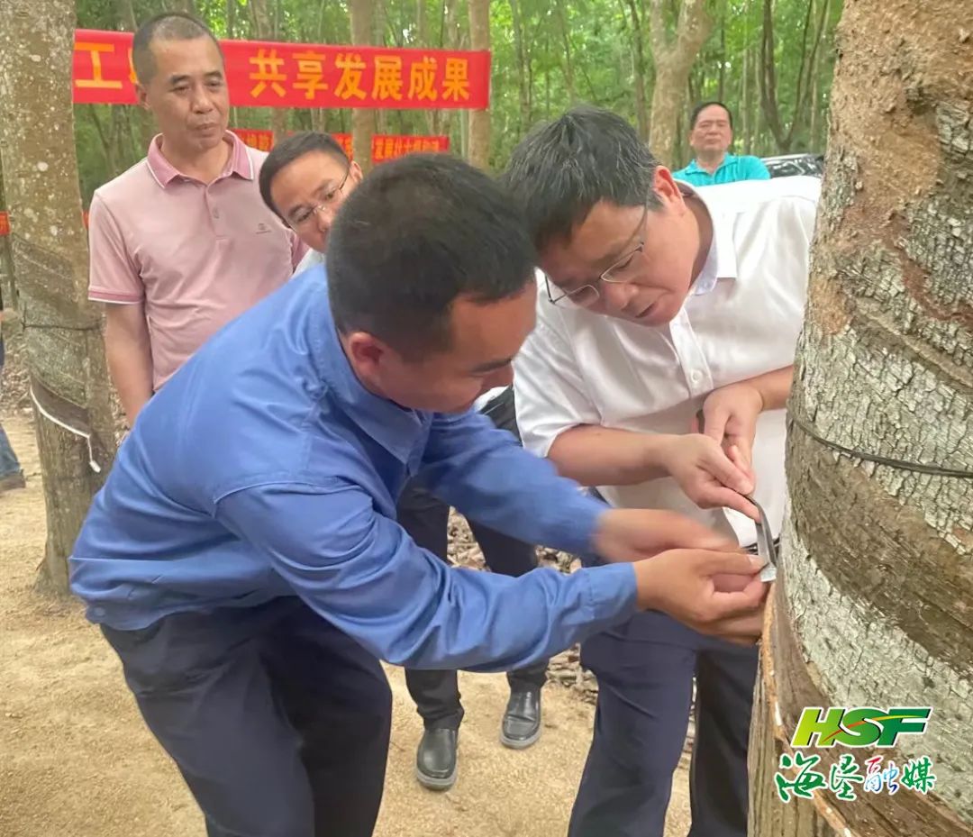 ladbrokes立博-公司官网