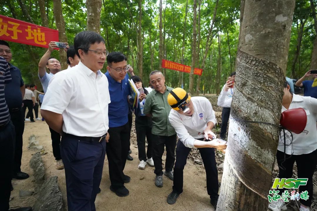 ladbrokes立博-公司官网