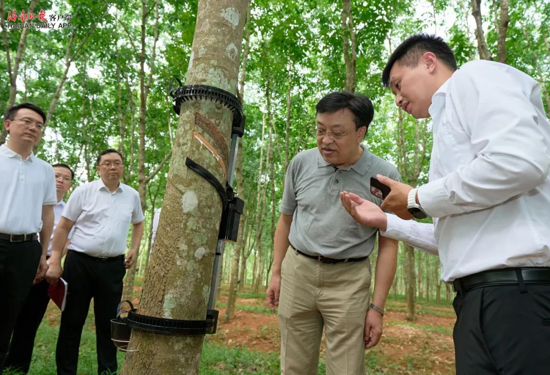 ladbrokes立博-公司官网