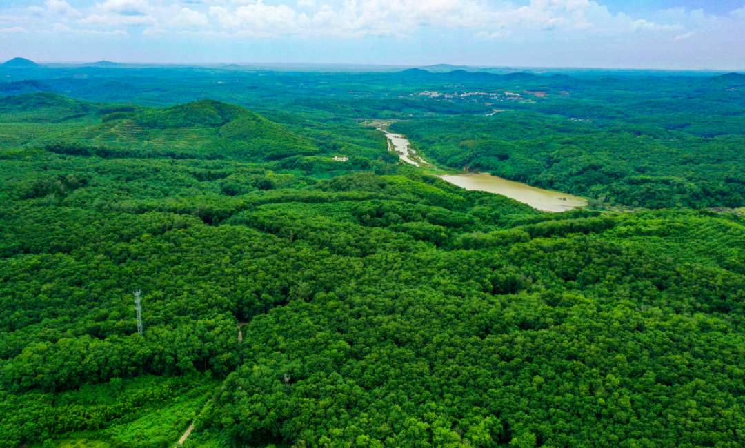 ladbrokes立博-公司官网