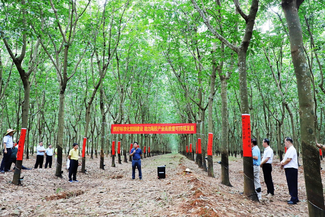 ladbrokes立博-公司官网