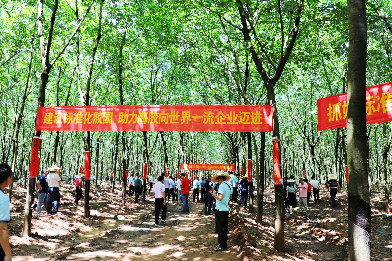 ladbrokes立博-公司官网