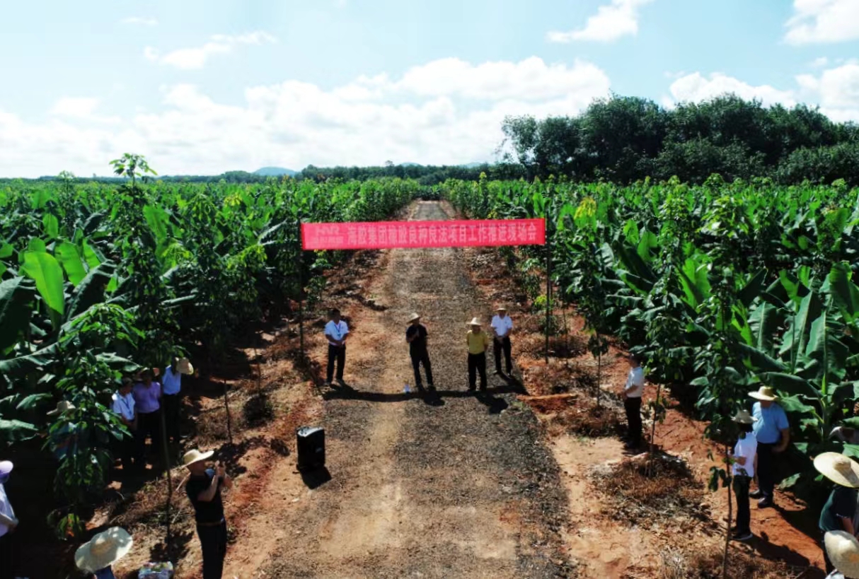 ladbrokes立博-公司官网