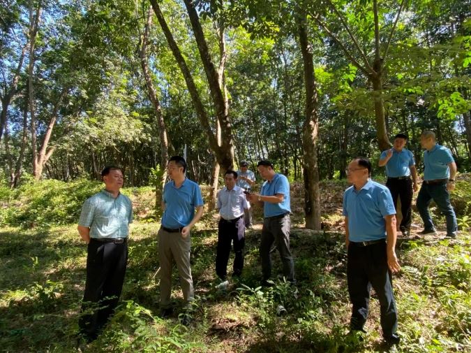 ladbrokes立博-公司官网