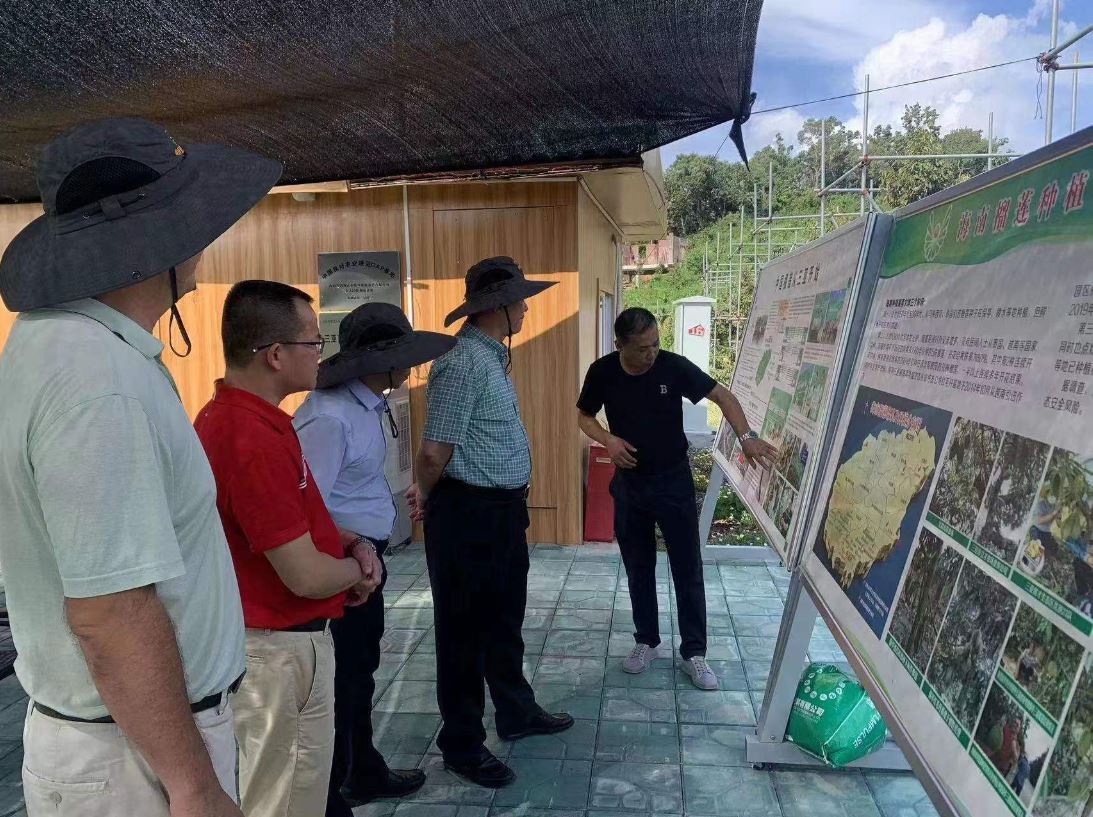 ladbrokes立博-公司官网